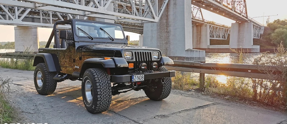 Jeep Wrangler cena 159900 przebieg: 130000, rok produkcji 1991 z Dobra małe 211